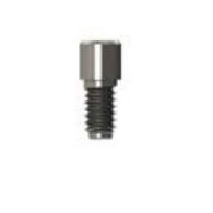 Prosthodontic screw 0216
