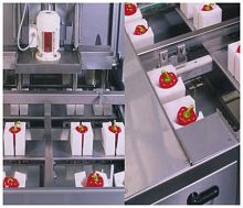 Bell pepper coring machine