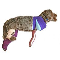 Veterinary training manikin RUFUS first aidbandagingdog
