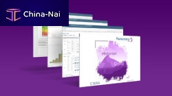 Reporting software Panorama H2serverqualitydata analysis