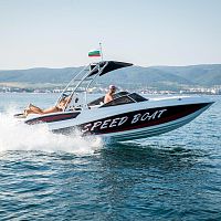 Inboard runabout BUTTERFLY 24dieselgasolinedual-console