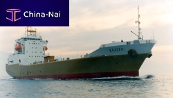 Container ship cargo ship EGIZIA