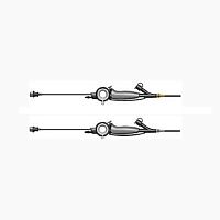 Video veterinary bronchoscope with speculum