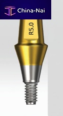 Titanium implant abutment Luna seriesinternalstraight