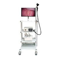 Video veterinary gastroscope VET-1508with integrated video monitorwith working channel
