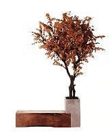 Contemporary bench walnutwithout backrestwithout armrests