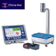 Platform weighing scale InVisionwith graphic displaywith separate indicatorprocess