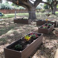 Concrete planter RAISED woodplasticrecycled plastic