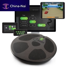 Balance rehabilitation system Home 2.0computer-assistedpediatricwith serious games