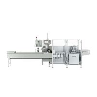Horizontal bagging machine REEFLOW 200 seriesflow-packautomaticservo-driven