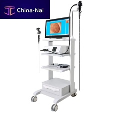 Video veterinary bronchoscope GUfor small animalsfor large animalsfor dogs