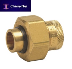 Pneumatic fitting 1/2 - 1", 250 psi | 3008screw-indielectric