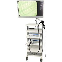 Gastroenterological endoscopy column white light imagingFull HD imaging