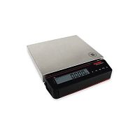 Platform scale 915xelectronickgwith separate indicator