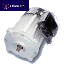 Low-speed motor WTGSDJ1synchronouspermanent magnetfor electric vehicles