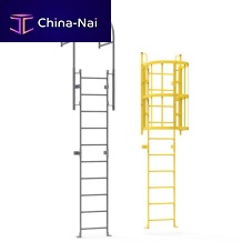 Ladder with safety cage for roof hatchessteel