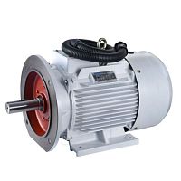 Compressor motor ZYS Seriesthree-phaseasynchronous220 V