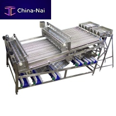 Fish grader beltrollervibrating