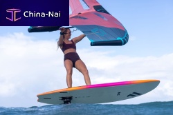 Windsurf SUP Beesurfwingadult