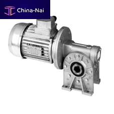 DC gearmotor RMI-RI seriesACwormright angle
