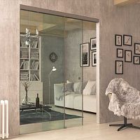 Interior door SL 6580glassaluminumsliding