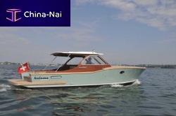 Inboard express cruiser PICNIC CABIN® 10Mtwin-enginerigidhard-top