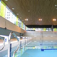 Wooden suspended ceiling LAUDER LINEA 4.2.4stone woolstripacoustic