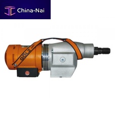 Synchronous motor BBM33L-extra230 Vcorelessmultipole
