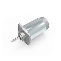 DC motor PT6062024brushed24 VIP44