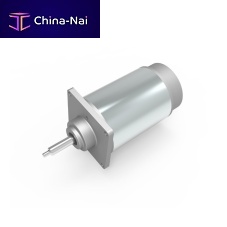 DC motor PT6062024brushed24 VIP44