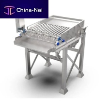 Cauliflower grader for broccoliwith conveyor