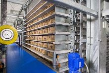 Process freezer for food applications