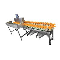 Sorting machine for the food industry TY-CW-YP6automaticfor vegetablesfor fruit