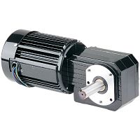 AC gear-motor 42R-GB seriesthree-phasesingle-phaseworm