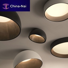 Contemporary ceiling light Duo Petraroundovalaluminum