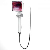 Video veterinary bronchoscope OneVetwith working channelwith integrated video monitor
