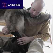 Dog veterinary orthosis ankle
