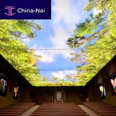 Panel stretch ceiling colordecorativelight