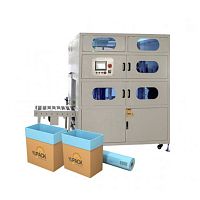 Automatic insertion machine for bags