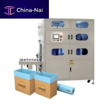 Automatic insertion machine for bags