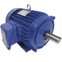 Three-phase motor AEEH inductioncast ironcompact