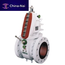 Gas fitting Fiomasterflangeflangecontrol