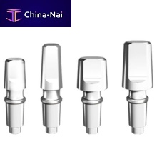 Stainless steel implant abutment 02.0x.0x seriesinternalstraightcemented