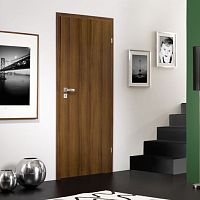 Interior door POL-SCONEwoodenswingwithout glazing