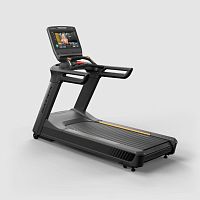 Treadmill Performance Plus