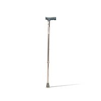 T-handle walking stick STH0973