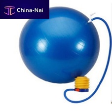 Large size Pilates ball WX-9001adult