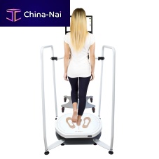 Balance rehabilitation system geaPROcomputer-assisted
