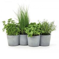 Concrete plant pot POTPOTconical