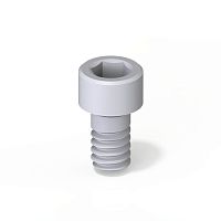 Prosthodontic screw Teetanium ®